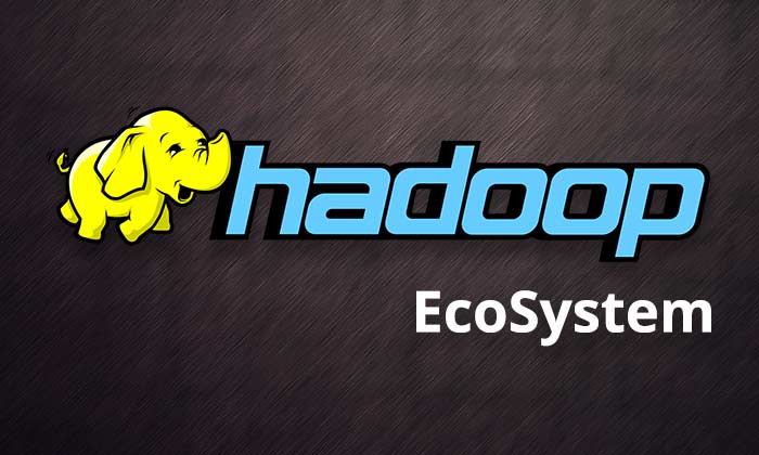 Understand Hadoop and Its Ecosystem