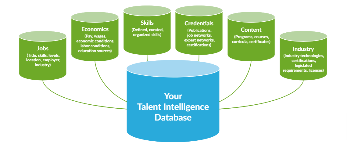 Talent intelligence