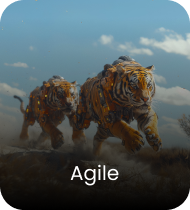 Agile