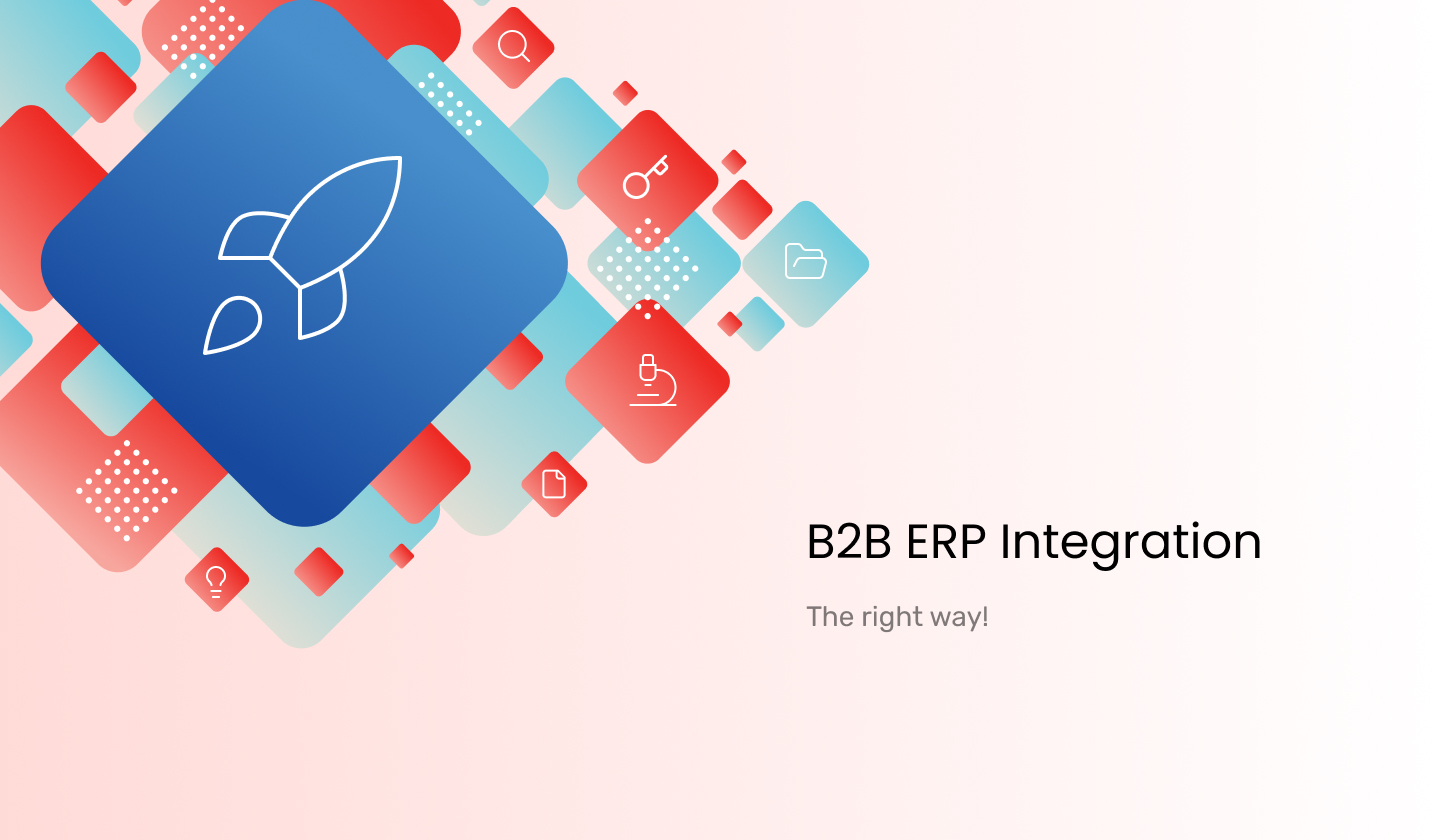 B2B ERP Integration